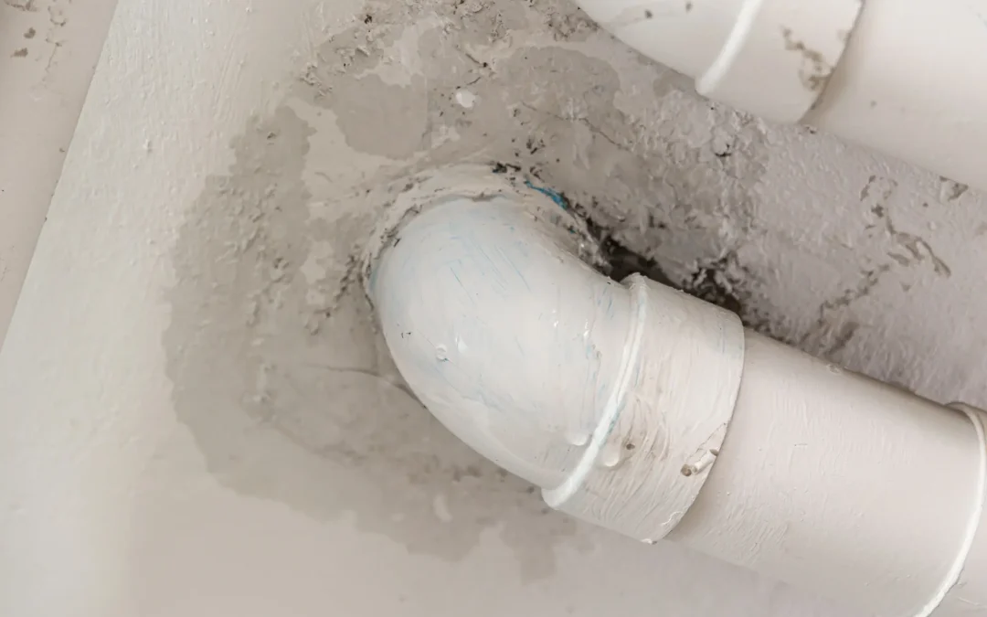 Your Pipe Just Burst in Greenville, SC. Now What?