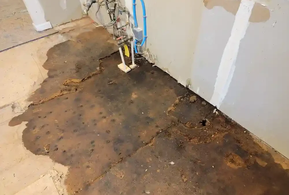Emergency Plumber for a Burst Pipe in Simpsonville, SC: When You Need Immediate Help